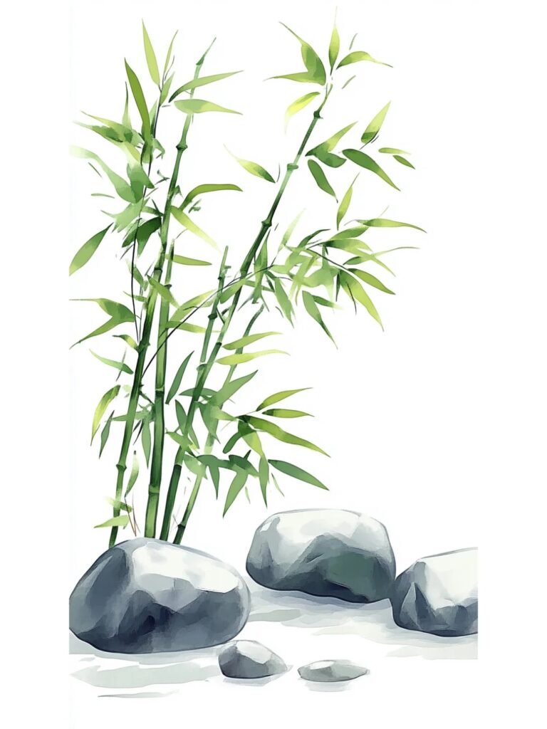 山竹